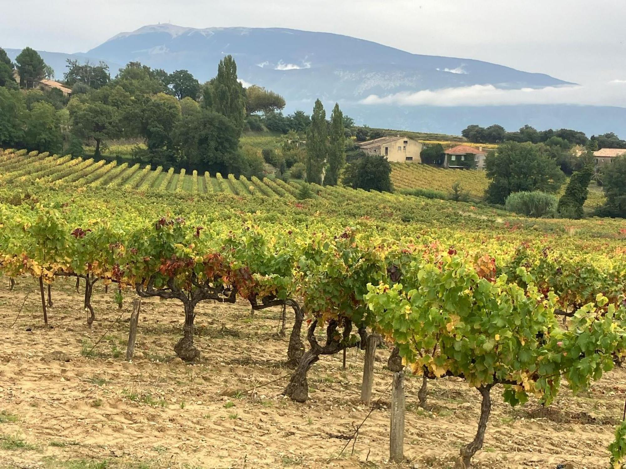 La Clairiere Villa Pierrelongue Eksteriør billede
