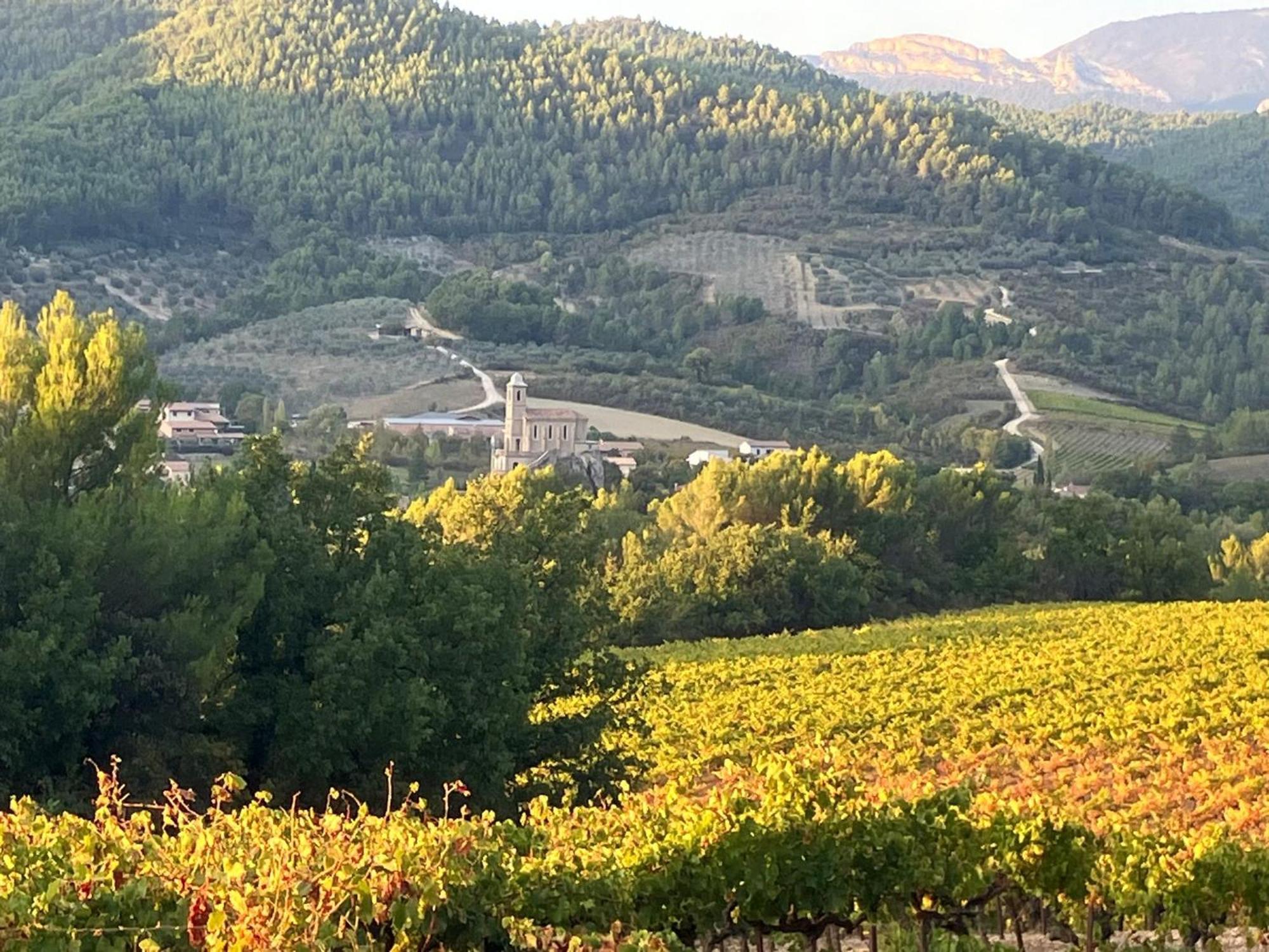 La Clairiere Villa Pierrelongue Eksteriør billede